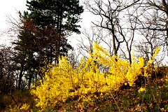 photo 0010
